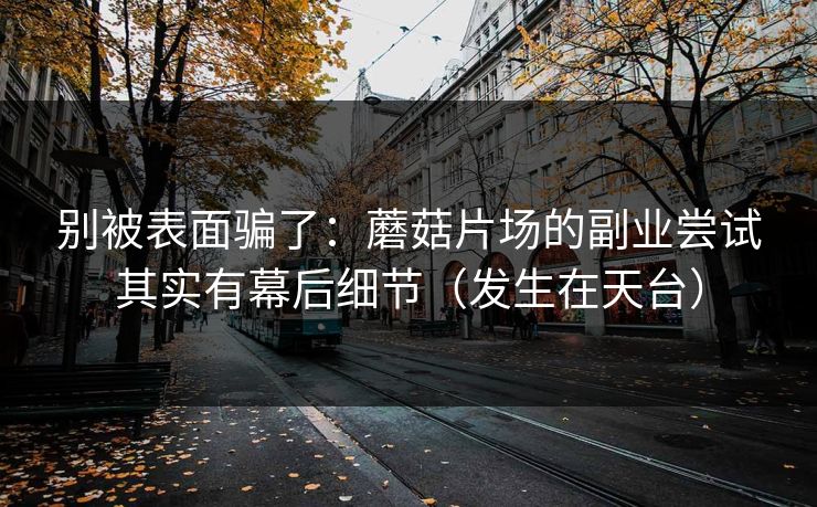 别被表面骗了：蘑菇片场的副业尝试其实有幕后细节（发生在天台）
