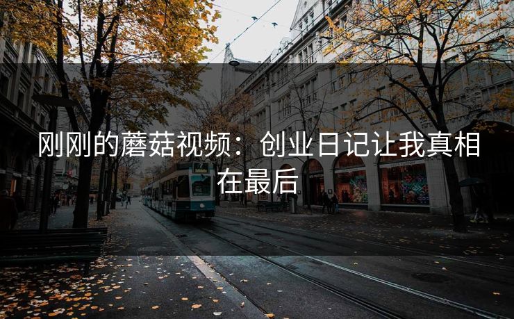 刚刚的蘑菇视频：创业日记让我真相在最后