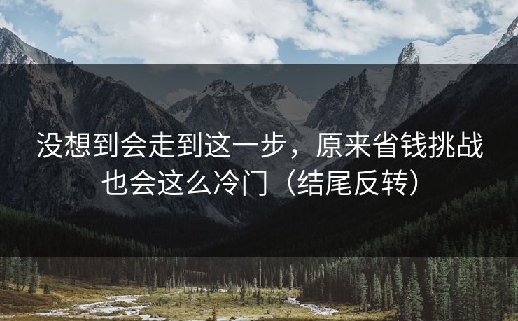 没想到会走到这一步，原来省钱挑战也会这么冷门（结尾反转）
