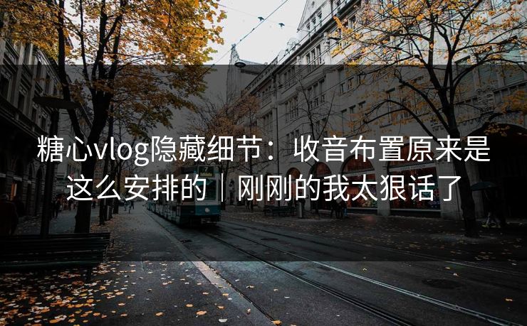 糖心vlog隐藏细节：收音布置原来是这么安排的｜刚刚的我太狠话了